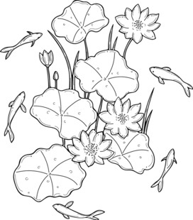荷花游鱼线描图 矢量图