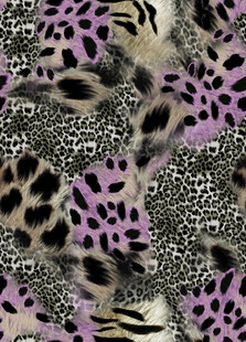 紫色豹纹图案纹理