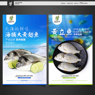 海鱼