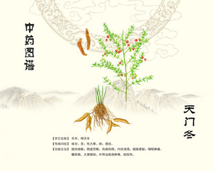 中药材天门冬天冬