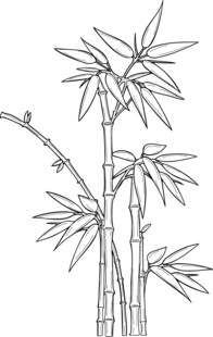 水墨风竹子线条图 矢量图