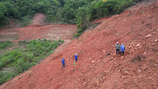 山坡上的工人作业场景
