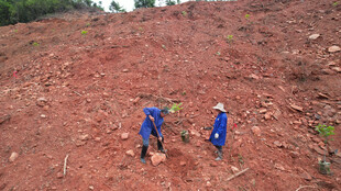 工人在红土地上辛勤劳作