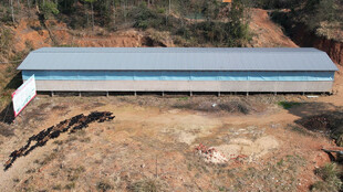 户外长形金属棚屋景观