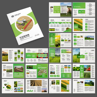 农产品宣传册