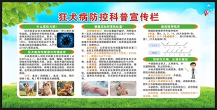预防狂犬病知识宣传栏