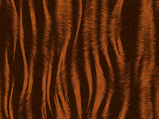 棕色虎纹纹理图案