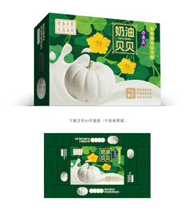 奶油贝贝南瓜礼盒