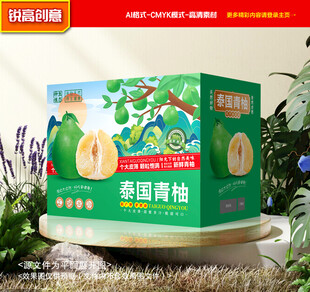 青柚包装 蜜柚礼盒