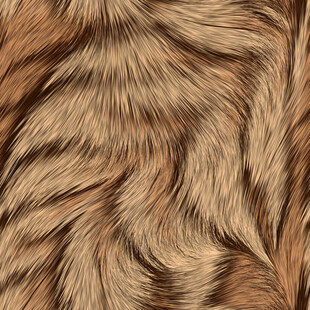 虎纹毛发纹理图案