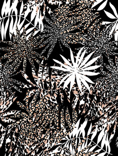 黑白抽象植物纹理图案