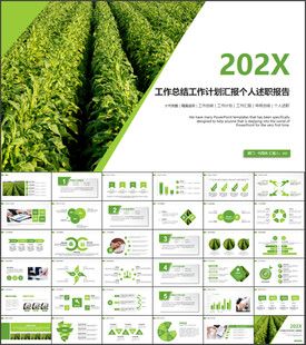 中国烟草局工作总结汇报PPT