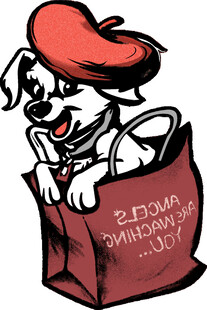 小狗在购物袋中戴红帽