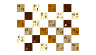 中医养生与诊疗主题的文化宣传设