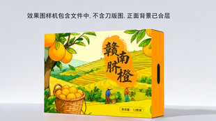 阳光果园脐橙礼盒包装