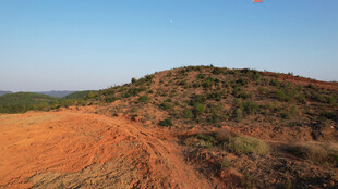 红土地上的起伏山丘