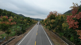 秋日公路美景
