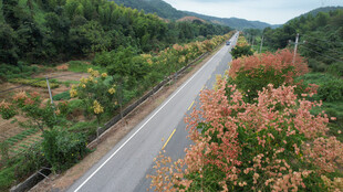 山间公路旁的多彩景致