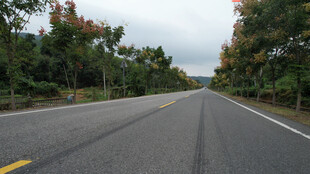 秋日公路两旁彩叶相伴