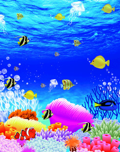 梦幻海底世界珊瑚与鱼群