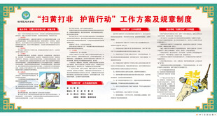 扫黄打非 护苗行动工作方案