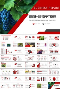 葡萄庄园新疆葡萄葡萄酒PPT