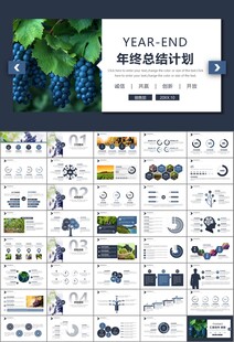 葡萄庄园新疆葡萄葡萄酒PPT