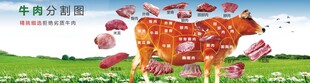 牛肉分割图