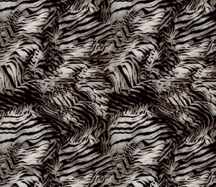 斑马纹图案纹理背景