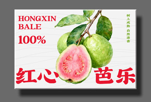 手绘芭乐水果包装设计图