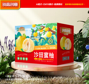 柚子包装 蜜柚礼盒