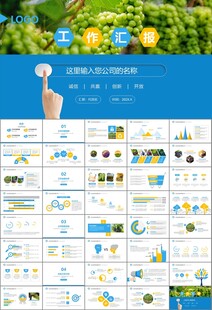 葡萄庄园新疆葡萄葡萄酒PPT
