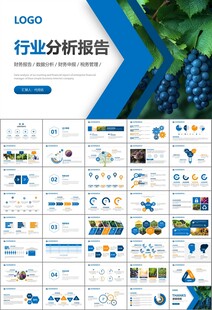 葡萄庄园新疆葡萄葡萄酒PPT