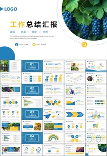 葡萄庄园新疆葡萄葡萄酒PPT