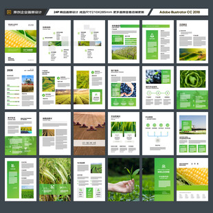 农产品宣传册