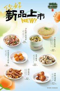 新品上市菜品特惠海报