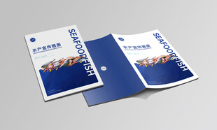 蓝色商务宣传册设计展示