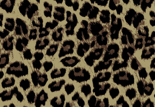 豹纹图案纹理背景