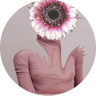 花头人形艺术形象