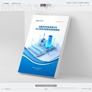 电力公司检查报告封面