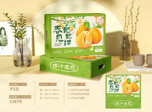 耙耙柑插画包装