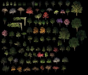 夜景树 发光树 亮化素材