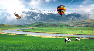 蓝天白云大草原