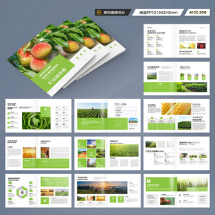 方形农产品画册