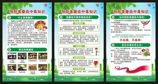 预防毒蘑菇中毒知识展板