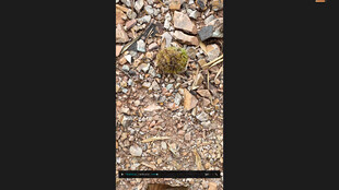 地面上的碎石与杂物