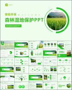 绿色环保森林湿地环境保护PPT