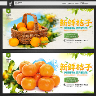 桔子海报