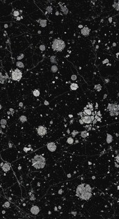 黑色背景上的白色斑点图案