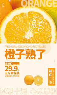 橙子海报